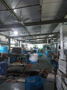 我在溫州工廠的一個月 你的生活真的有詩和遠方嗎