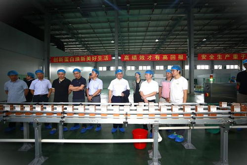 美好生活,煥然一鮮 佳沃煥鮮植物蛋白工廠順利投產
