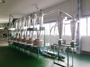 上海玉米加工設備新出廠價格 加工設備 玉米加工設備銷售