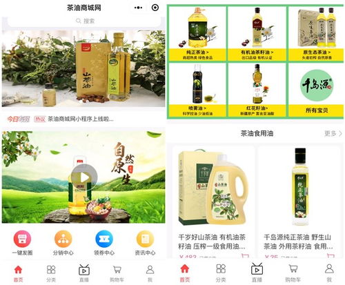 2020茶油行業(yè)全新發(fā)展商業(yè)模式