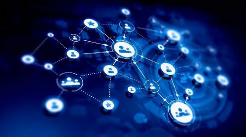 貫魚APP 精準構建私域流量矩陣，助力生活服務商家高效增長